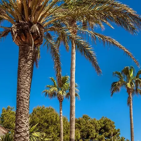 Seve Cala'N Bosch (Menorca)