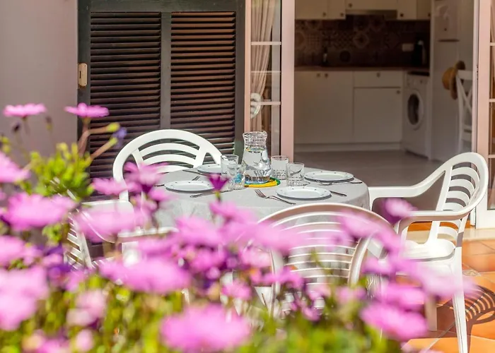 Seve * קאלאן בוש